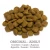 800x800_product_media_original_adult_lamb_and_rice_12_kg_dry_dog_food_for_all_kinds_of_breeds_1-j.webp