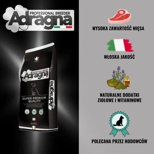 1080x1080_product_media_GRAFIKA_adragna(1)-p.webp