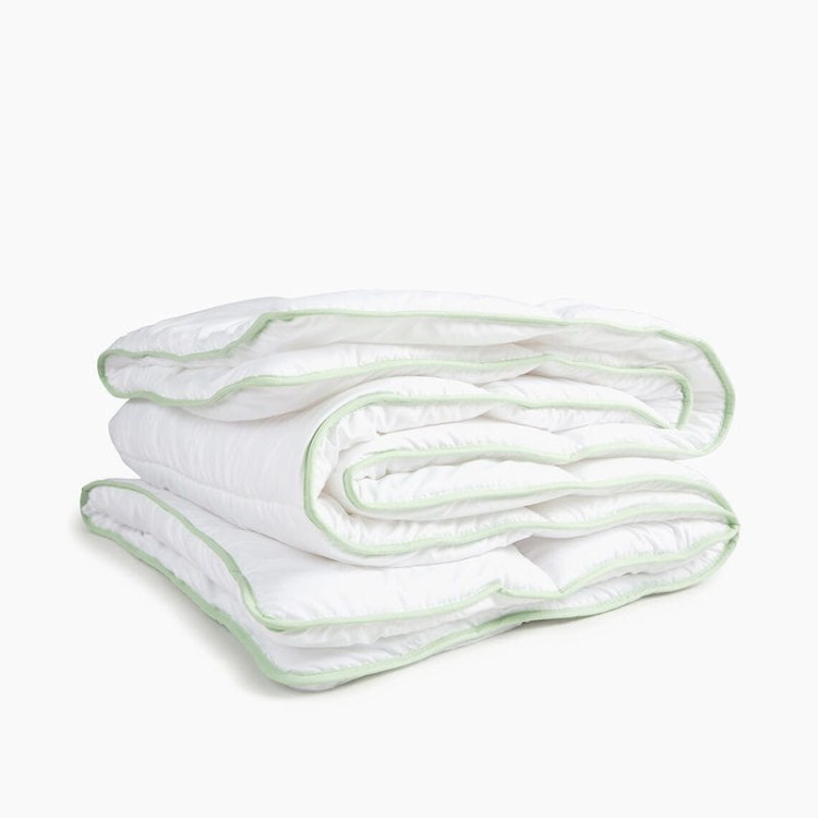 nmf-aloe-antklode-1.jpg