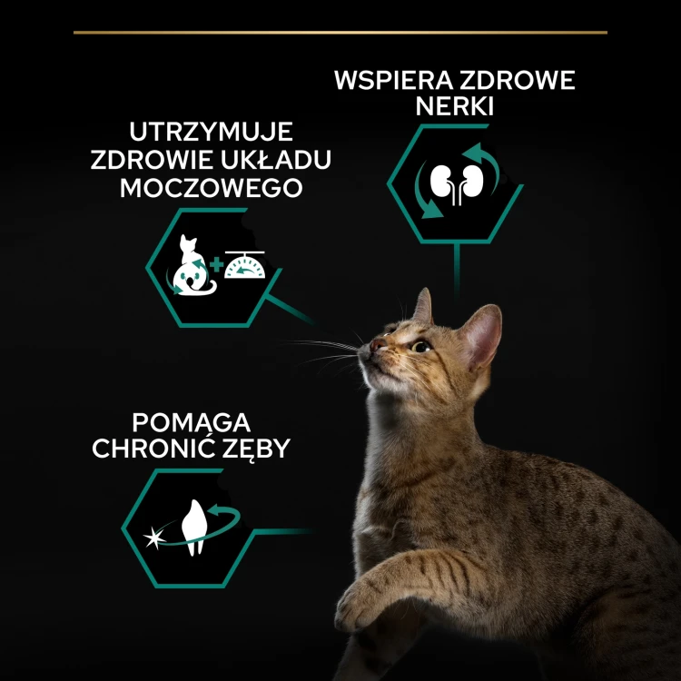 pol_pl_PURINA-Pro-Plan-Cat-Sterilised-Turkey-10kg-6882_3.webp