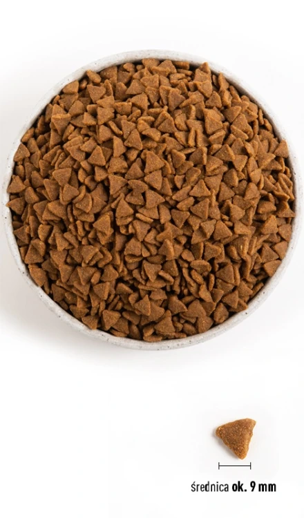pol_pl_Acana-Indoor-Entree-Cat-4-5kg-13174_4.webp