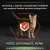 pol_pm_Purina-Pro-Plan-Cat-Sterilised-Salmon-10kg-3478_3.webp