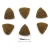 800x800_product_media_original_adult_chicken_and_rice_12_kg_1-j.webp